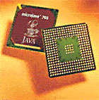microJava